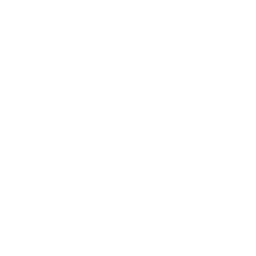Sogeti Capgemini / IT services and IT consulting / G.-D. Luxembourg
